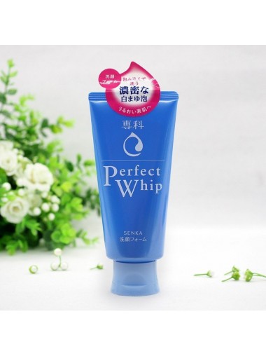 資生堂 SHISEIDO 專科泡沫潔面乳 120G 